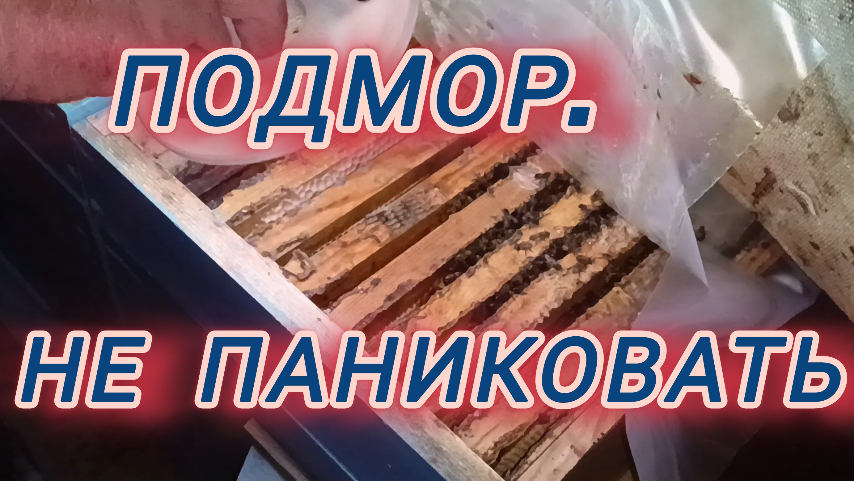 Подмор. Не паниковать...