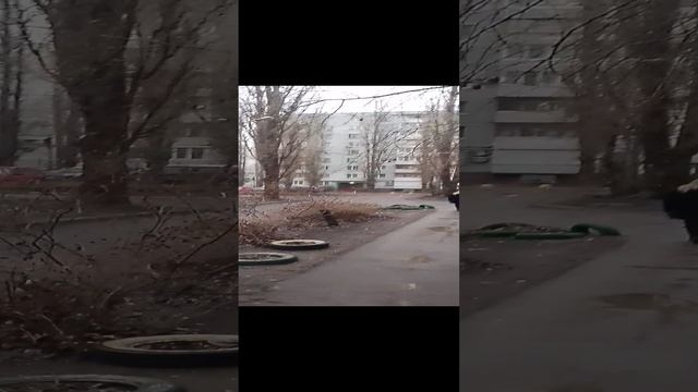 Прогулка по спальному двору в Воронеже(Коминтерновский район)08.01.2025