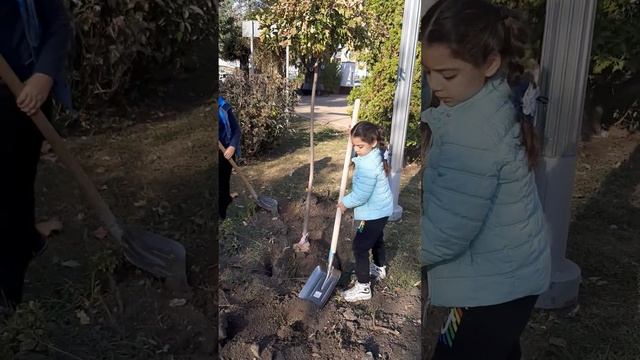 Атажукинский парк