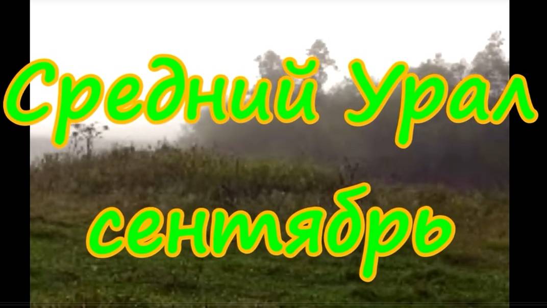 Средний Урал, Пермский край, сентябрь