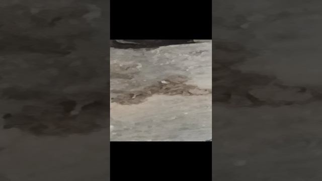 продолжаем искать клад