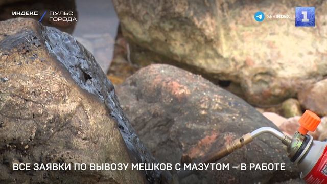 Все заявки по вывозу мешков с мазутом – в работе