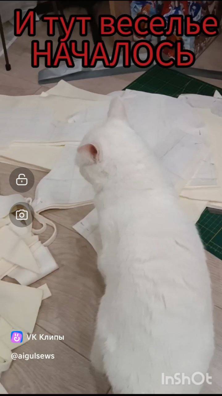 КОТО ЧИХ