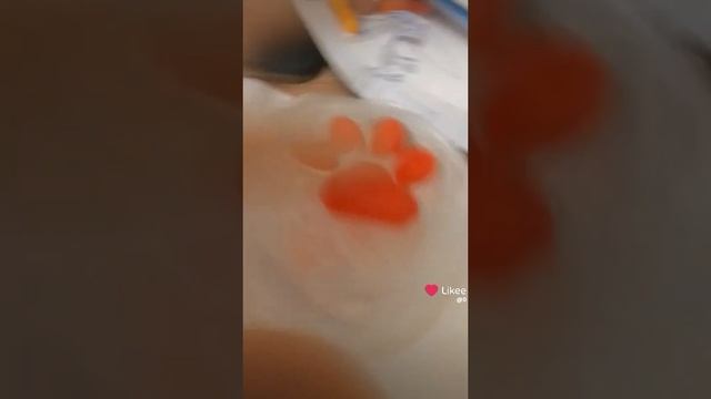 лапэ