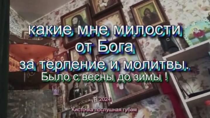 Какие мне милости от Бога за терпение и молитвы. было от весны до зимы. 2024