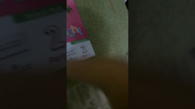 собираемся в школу