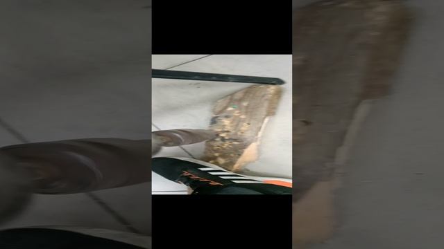 1000050307.mp4