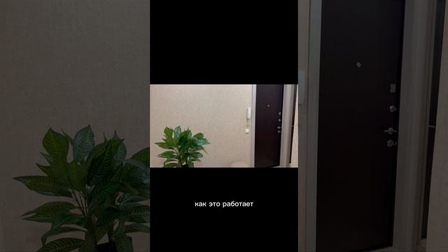 08-01-2025
