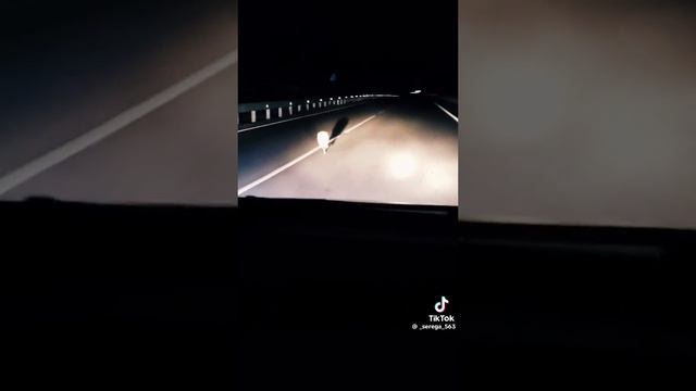 1000001557.mp4