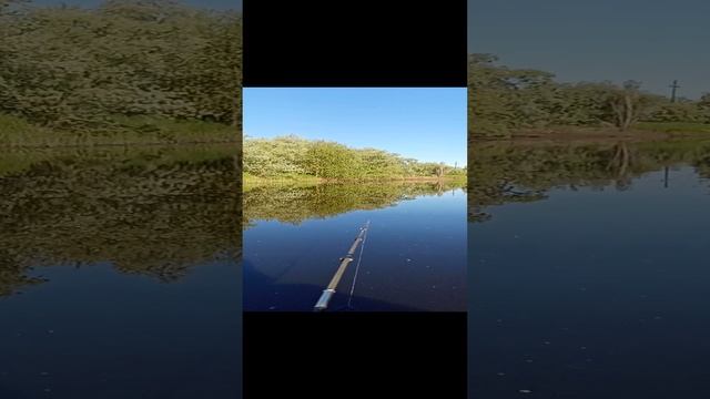 Рыбалка ранним утром☀️