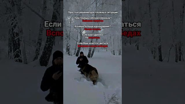 База.mp4