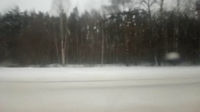 Снежная Кострома