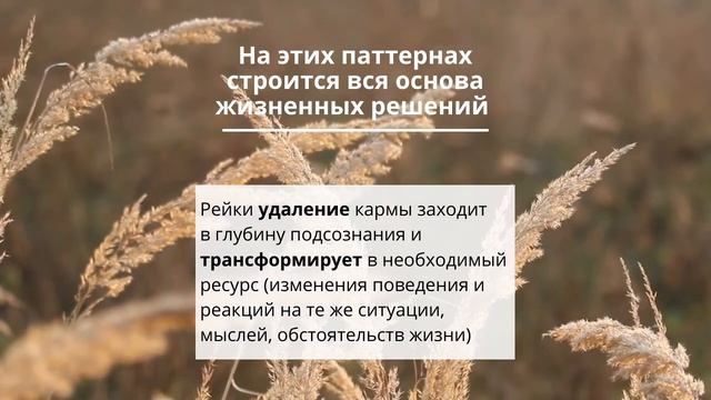 Рейки удаление КАРМЫ