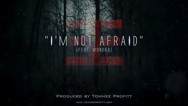 I m Not Afraid (feat. Wondra) - Tommee Profitt