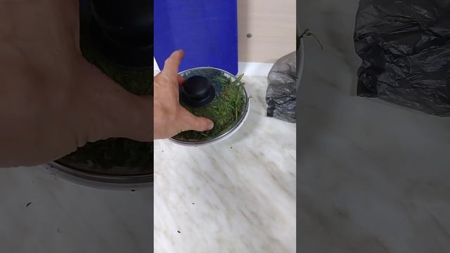 Будущий Иван чай. Как делал я. Сцена 3