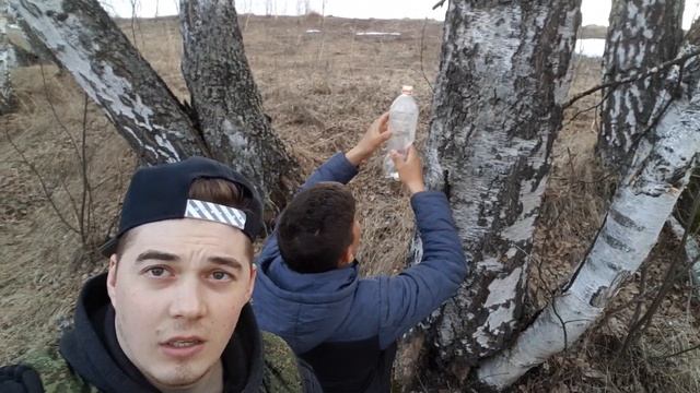 Берёзовый сок . 3 простых и быстрых способа сбора