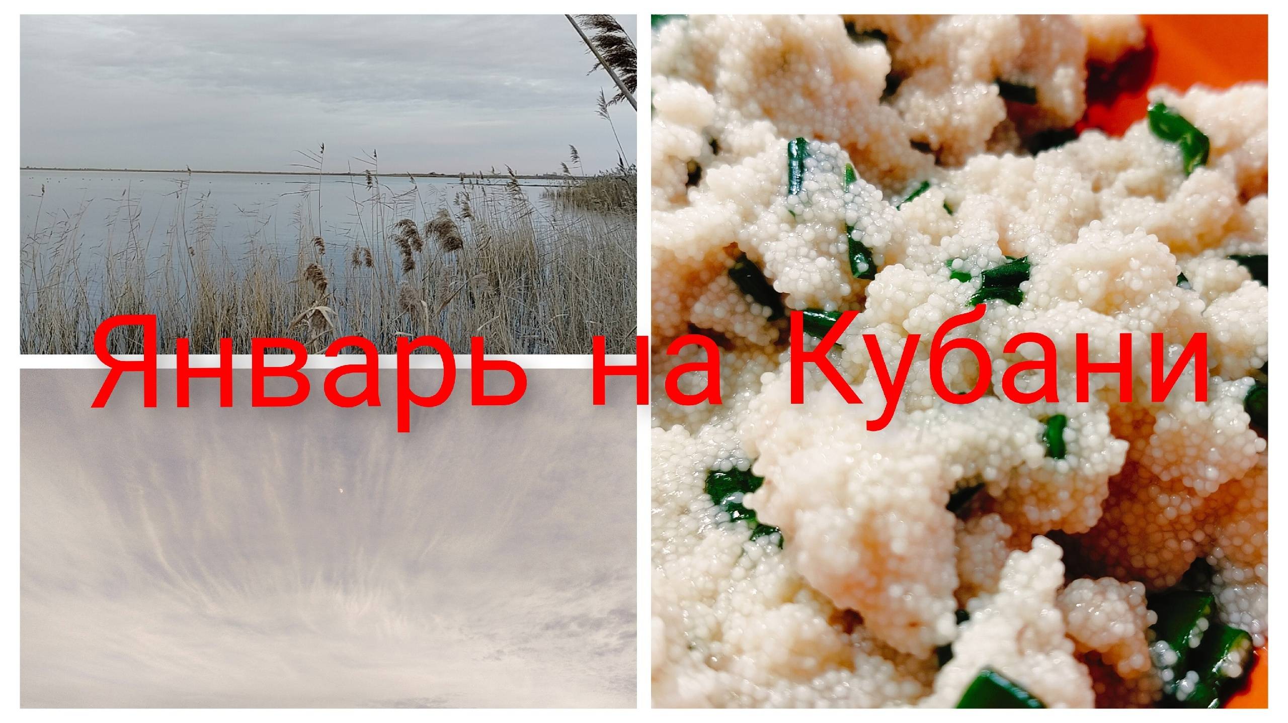 Январь на Кубани.Уже гуси полетели.Праздники закончились, ура!