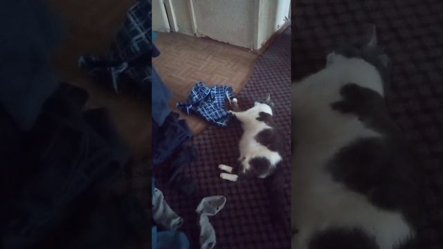 Может по пробовать выкладывать видео? 😘