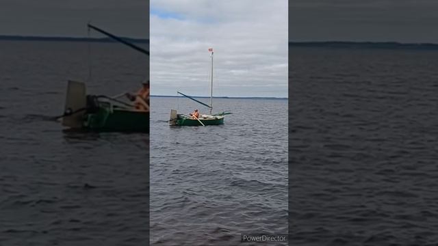 Толян поплыл домой 2024.07.14