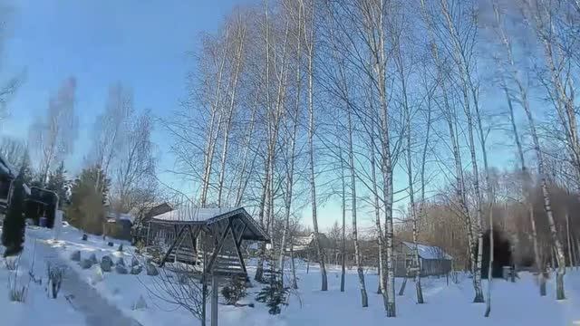 Зимний полет