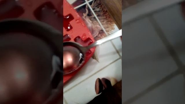 Формочки для льда