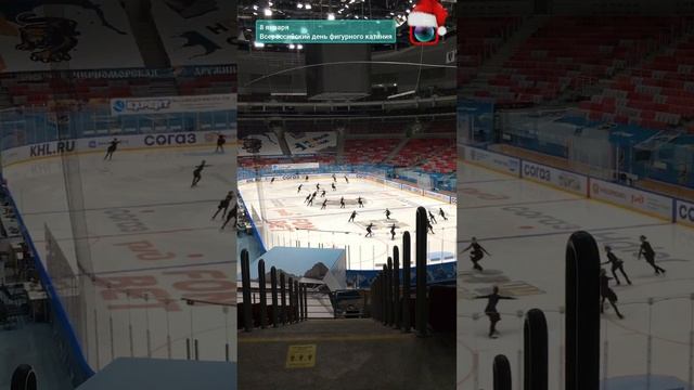 ⛸