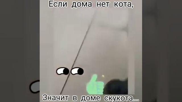 Если дома нет Кота значит дома скукота.
