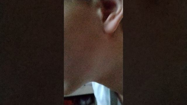scene_output.mp4