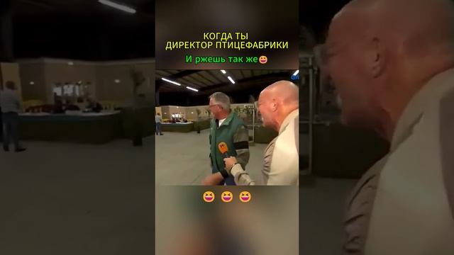 Директор птицефабрики