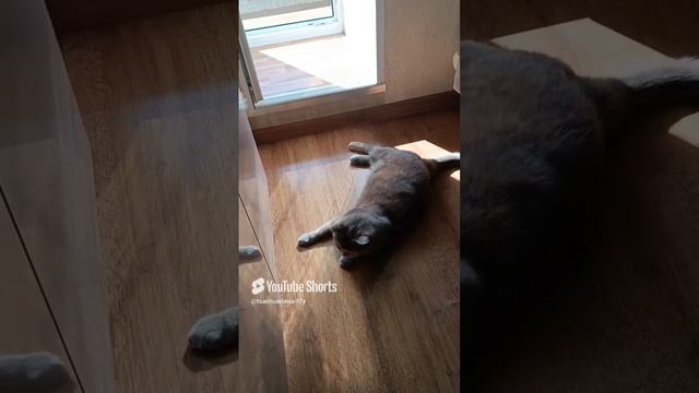 1000191844.mp4