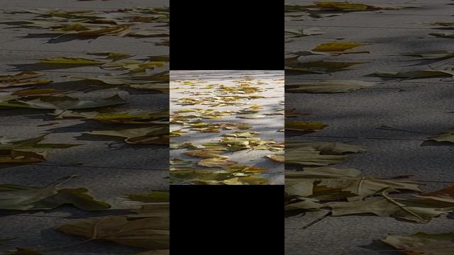 08-01-2025
