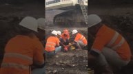 @video_smeshnye (1)