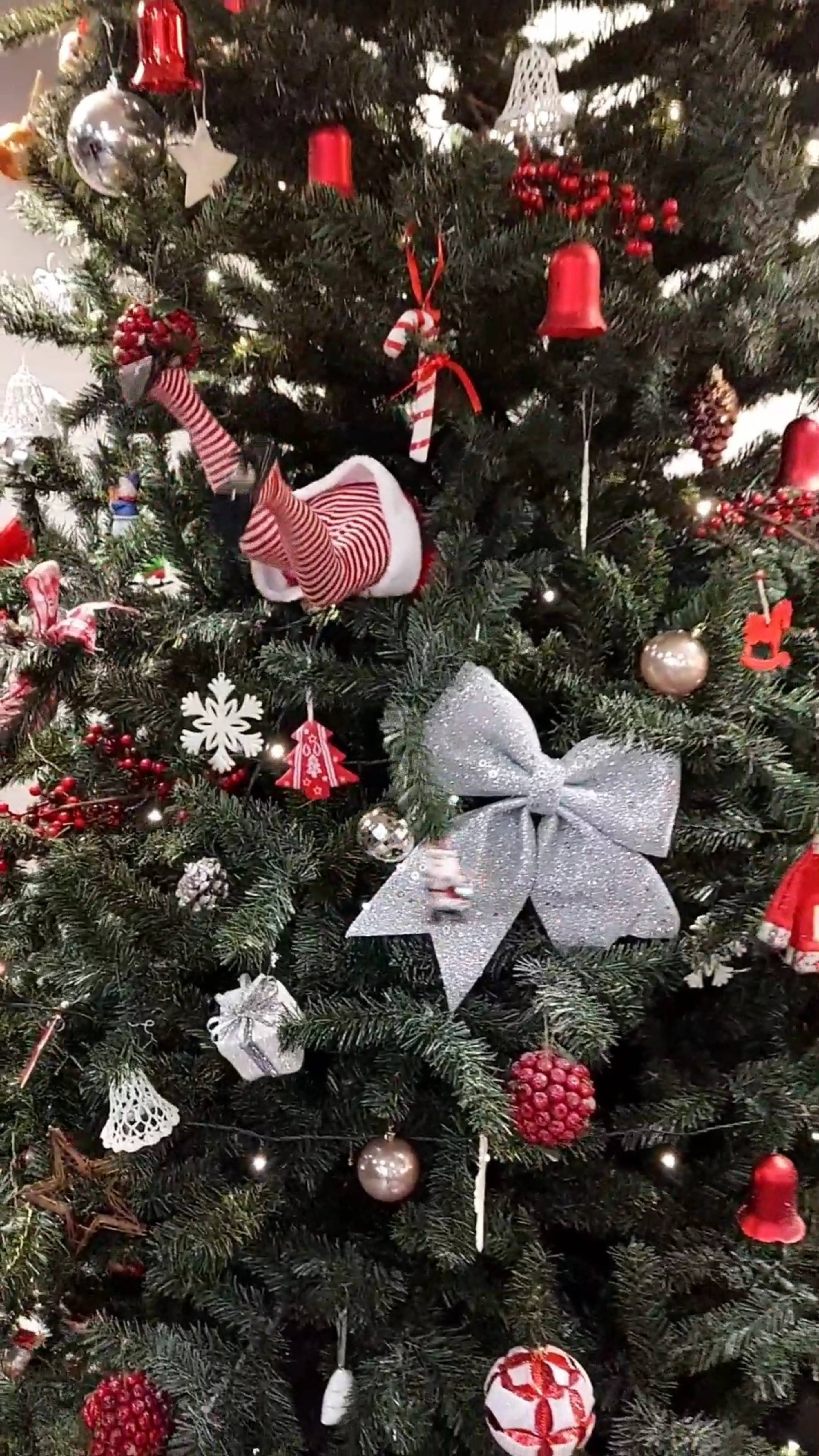 Новогодняя сказка в Калининграде, Светлогорске и Зеленоградске 🎄 #путешествияпороссии #калининград