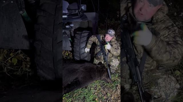 Добыл Медведя в Тайге