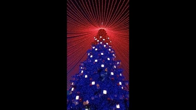 Новый год 2025. Прогулки по Зеленограду и Москве.