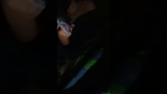 pov kiriнж