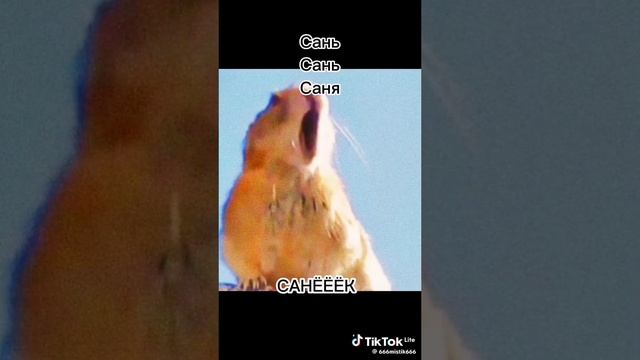 1000000846.mp4