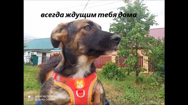 Дина