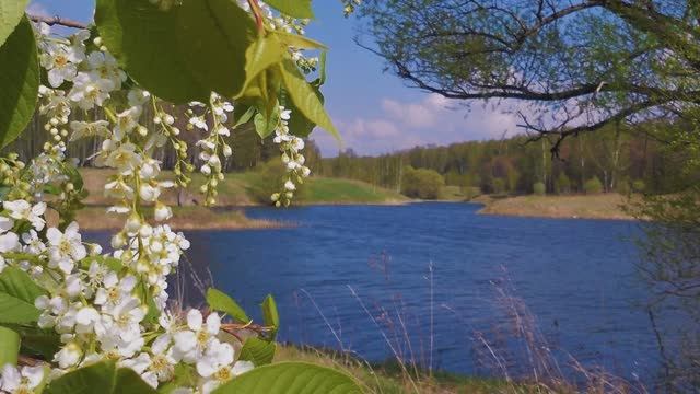 село Черемхово