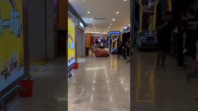 1736325163207.mp4