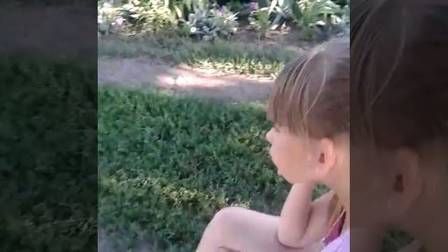 Принцессы не какают)