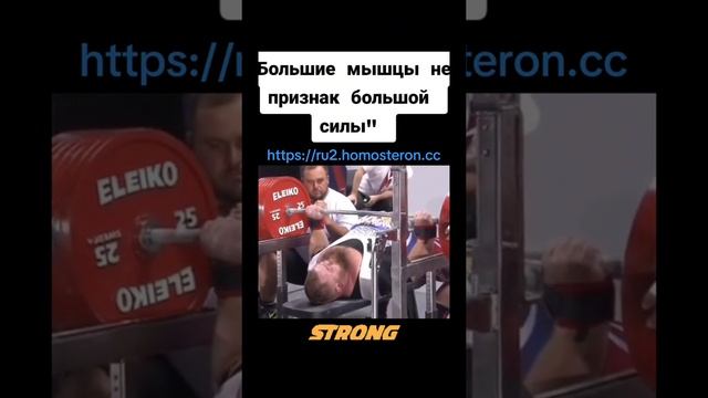 HOMOSTERON СПОРТИВНОЕ ПИТАНИЕ