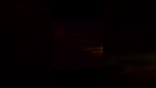 милый котик