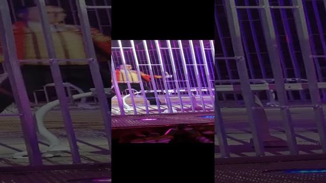 VID_20210807_144734.mp4