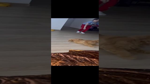 играю с Сёмой(часть2)