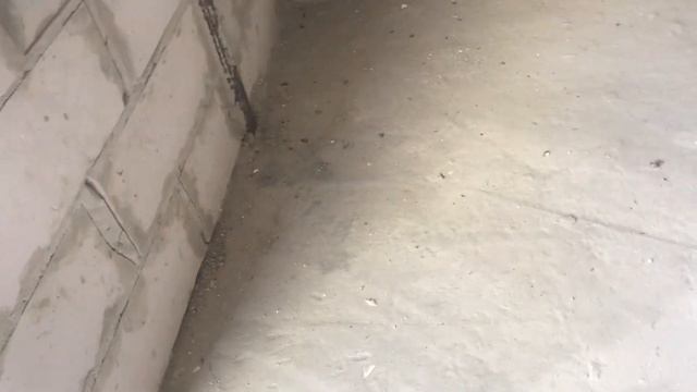 Ялта Поляна сказок Пентхаус 112 метров