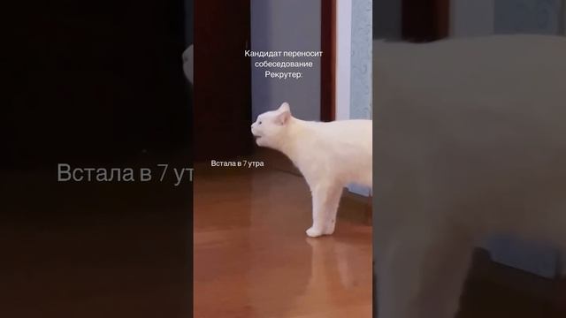 Я его обожаю😂