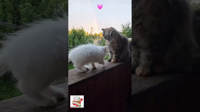 Дай Счастья Боженька 😇🌈💓🙏😻