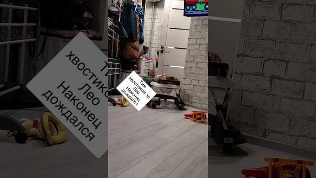 дождался
