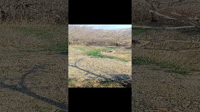9b91ff72-4f26-432d-86fc-2639e1a4266e-1_all_1581.mp4